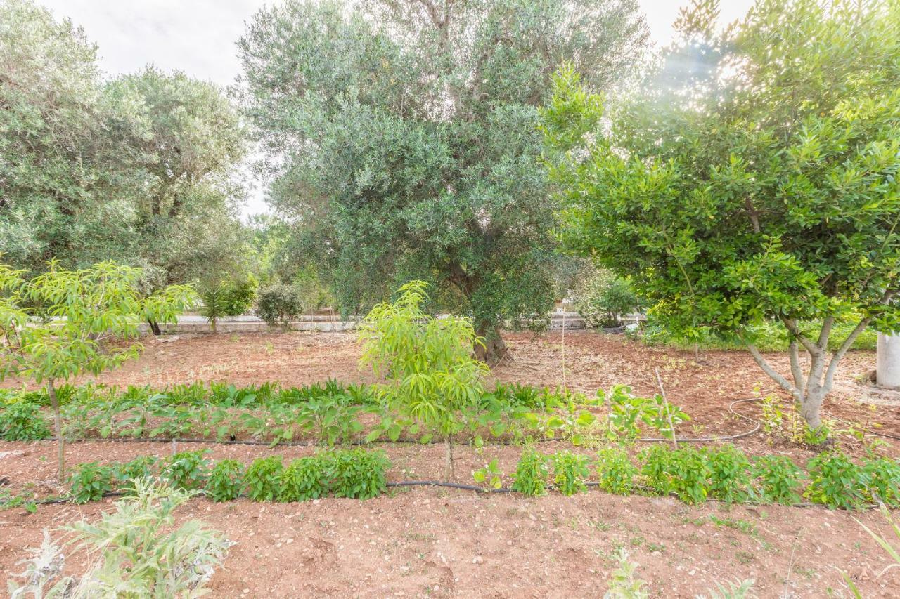 Lamia Di Nonna Mena Villa San Vito dei Normanni Bagian luar foto